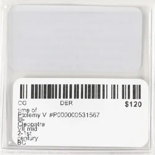 Ancient Greek Coin (3)