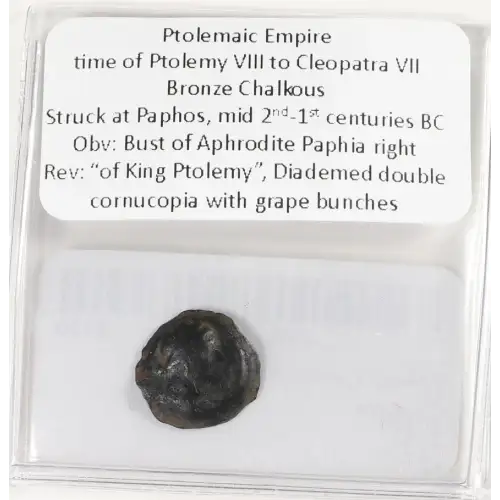 Ancient Greek Coin (3)