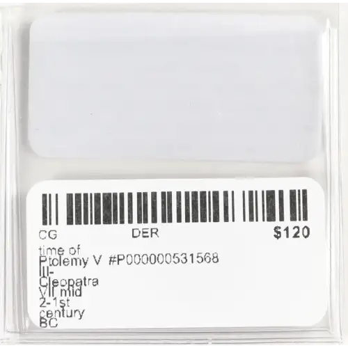 Ancient Greek Coin (2)