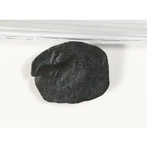 Ancient Greek Coin