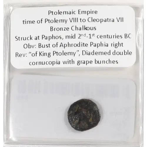 Ancient Greek Coin (3)