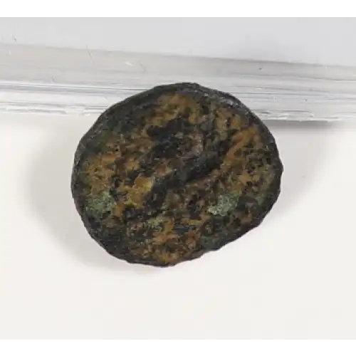 Ancient Greek Coin