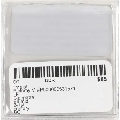 Ancient Greek Coin (4)