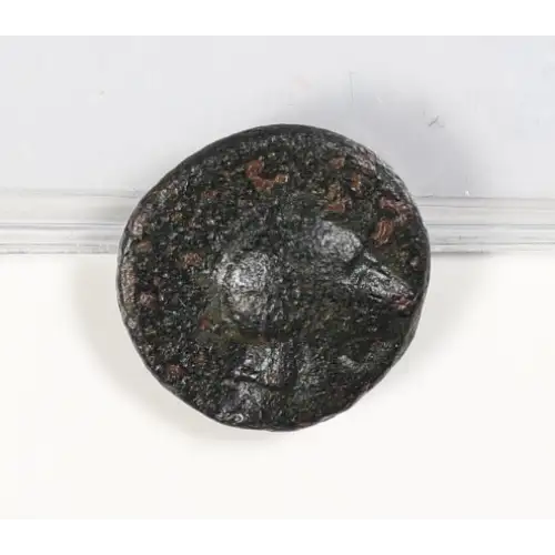Ancient Greek Coin
