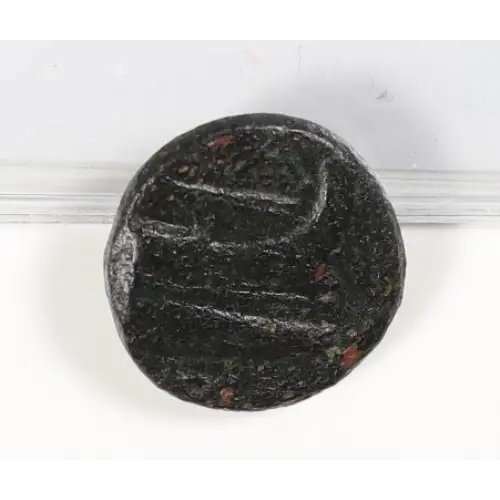 Ancient Greek Coin (2)