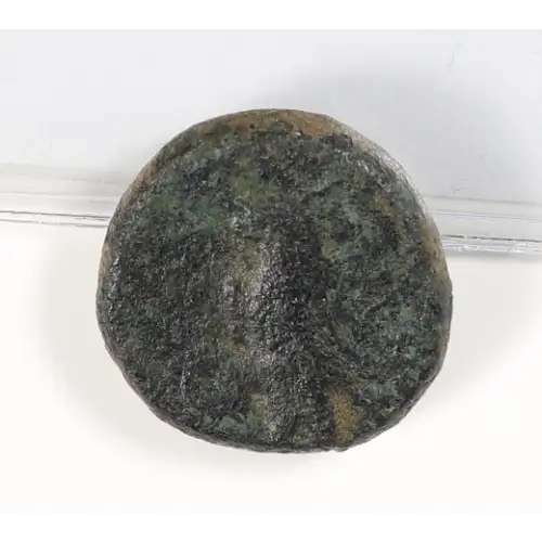 Ancient Greek Coin (2)