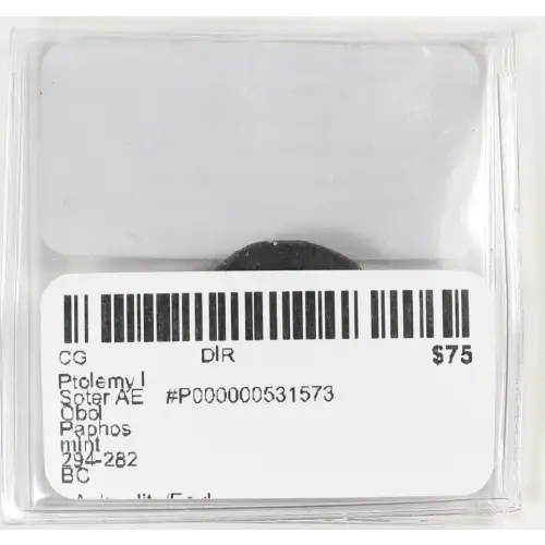 Ancient Greek Coin (3)