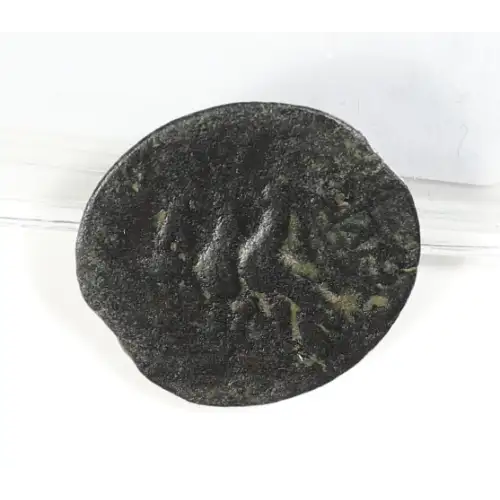 Ancient Greek Coin (3)