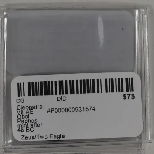 Ancient Greek Coin (4)