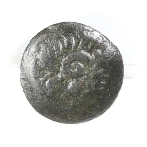 Ancient Greek Coin (2)