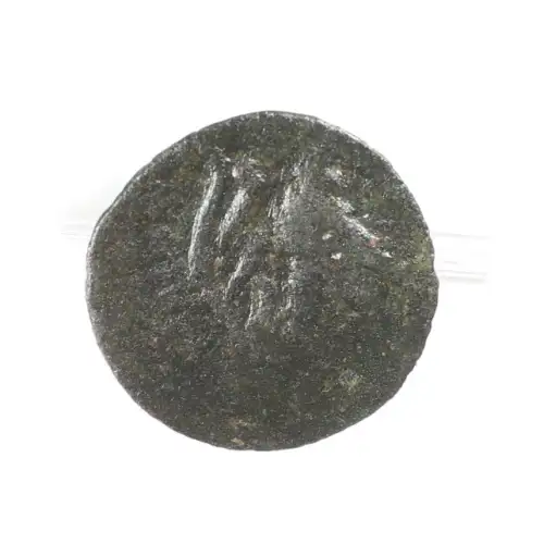 Ancient Greek Coin