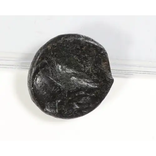 Ancient Greek Coin
