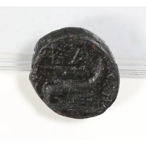 Ancient Greek Coin (4)
