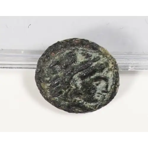 Ancient Greek Coin (2)