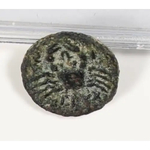 Ancient Greek Coin