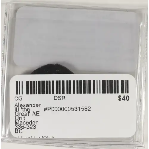 Ancient Greek Coin (4)