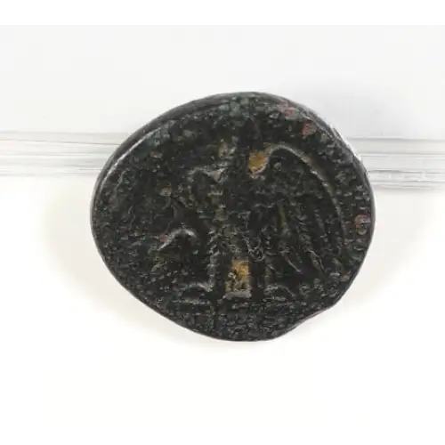 Ancient Greek Coin (2)