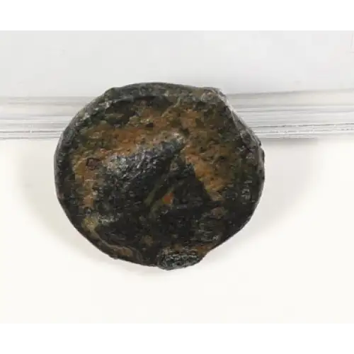 Ancient Greek Coin (2)