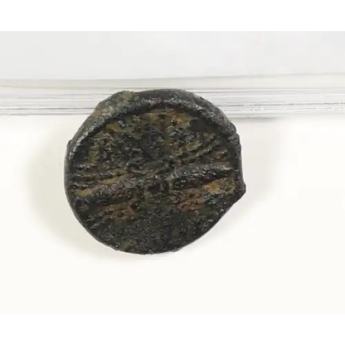 Ancient Greek Coin