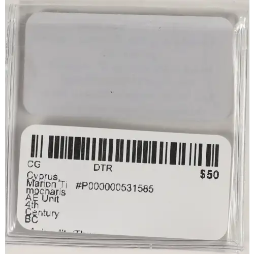 Ancient Greek Coin (3)