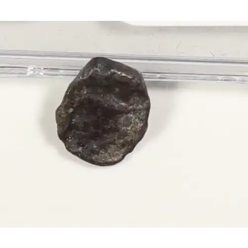 Ancient Greek Coin (2)