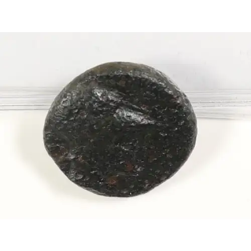 Ancient Greek Coin (4)
