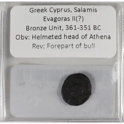 Ancient Greek Coin (2)