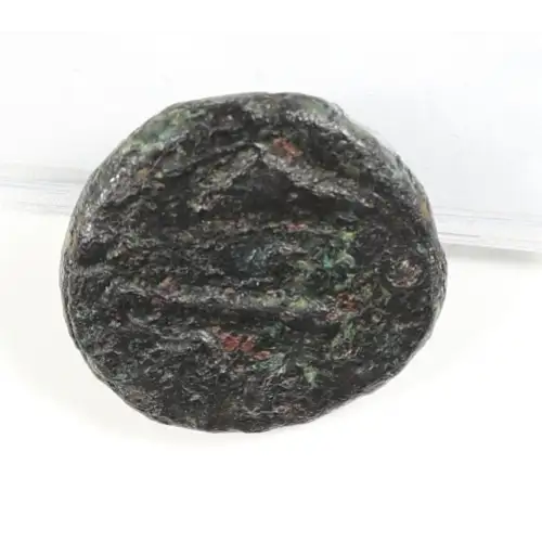 Ancient Greek Coin (2)