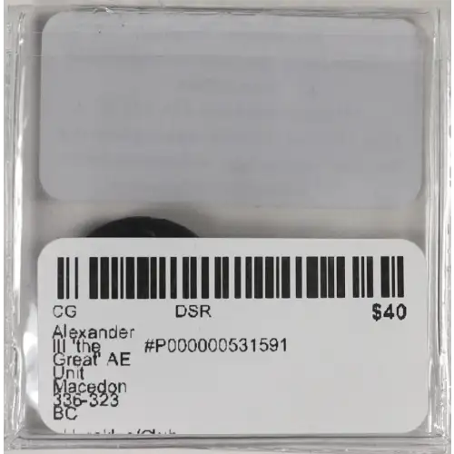 Ancient Greek Coin (4)