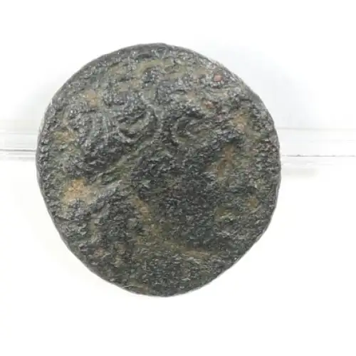 Ancient Greek Coin (4)