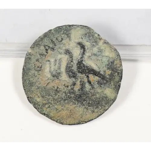 Ancient Greek Coin (2)