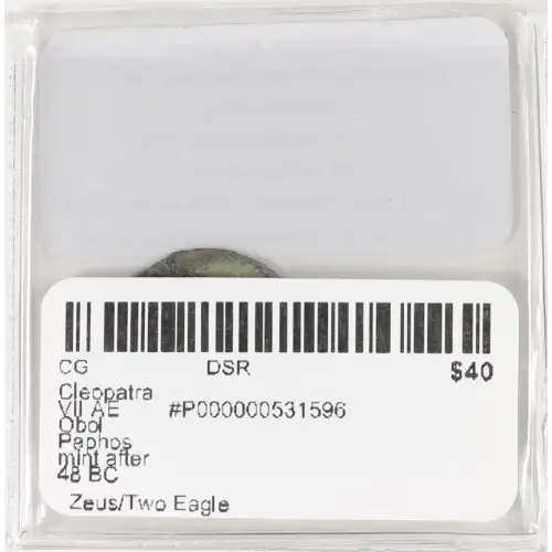 Ancient Greek Coin (4)