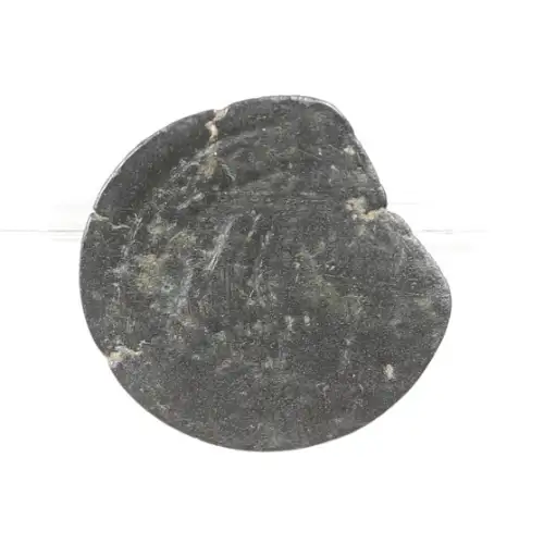 Ancient Greek Coin (2)