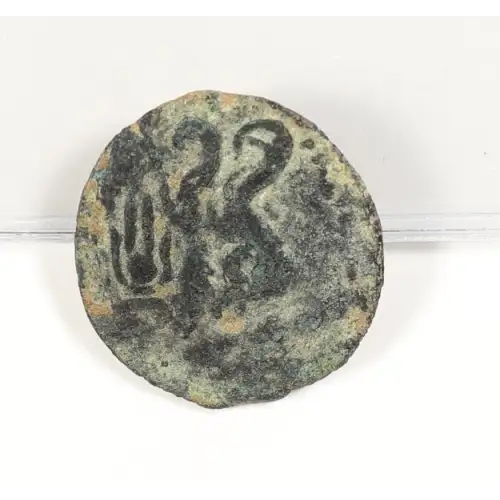 Ancient Greek Coin (2)