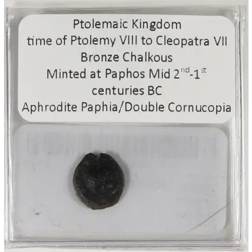 Ancient Greek Coin (3)