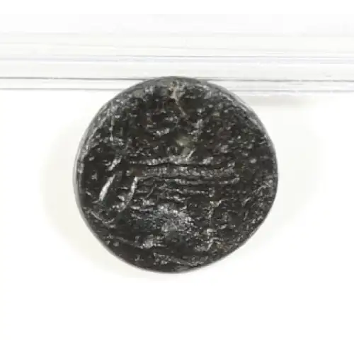 Ancient Greek Coin (2)