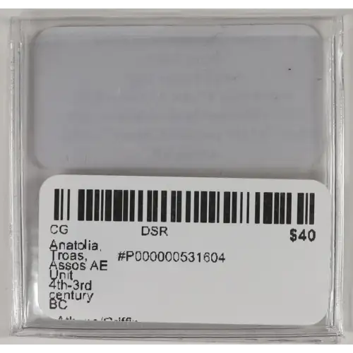 Ancient Greek Coin (4)