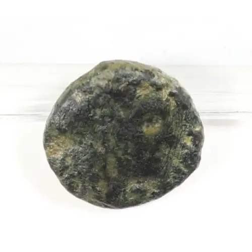 Ancient Greek Coin (2)