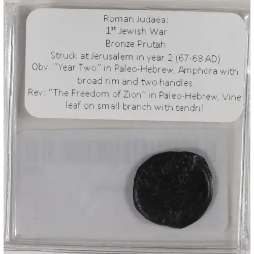 Ancient Greek Coin (2)