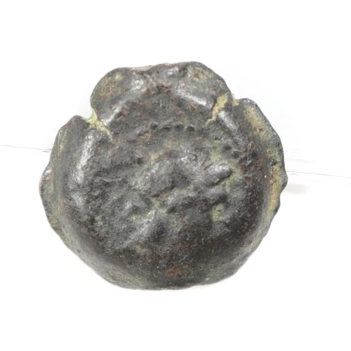 Ancient Greek Coin (2)