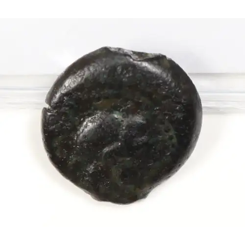 Ancient Greek Coin (2)