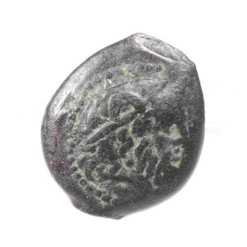 Ancient Greek Coin