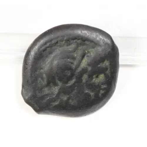 Ancient Greek Coin (2)