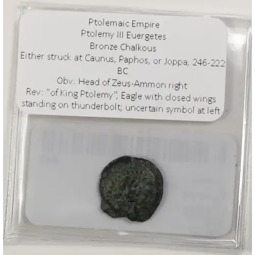 Ancient Greek Coin (3)