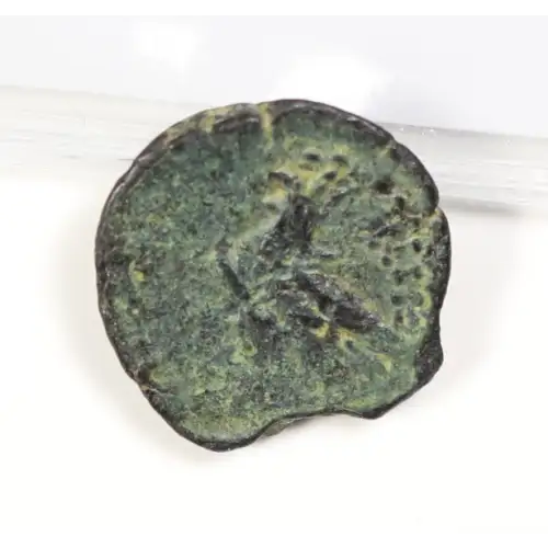 Ancient Greek Coin (2)