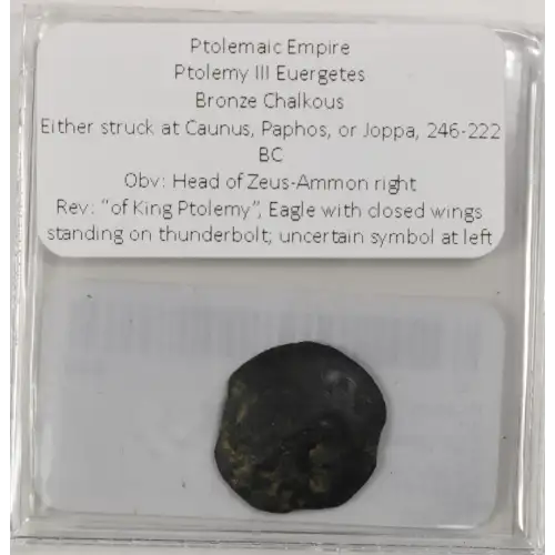 Ancient Greek Coin (3)