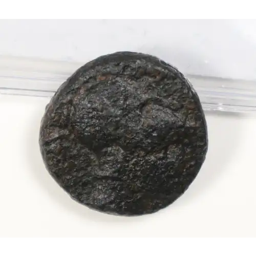 Ancient Greek Coin