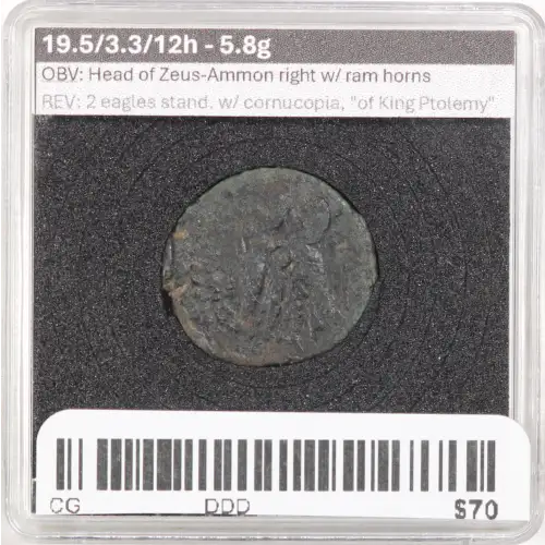 Ancient Greek Coin (4)