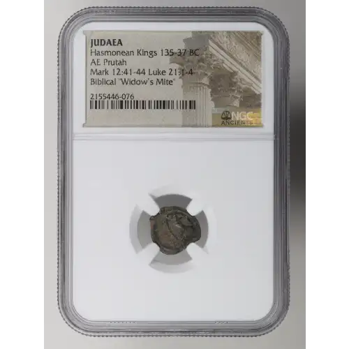 Ancient Greek Coin (2)