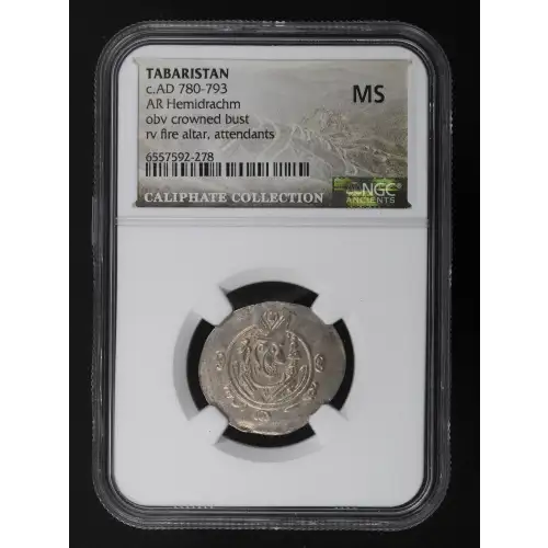 Ancient Greek Coin (2)